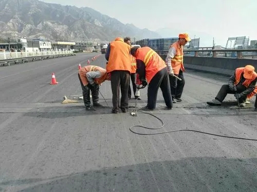 蒲城道路桥梁病害治理